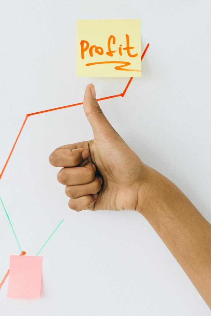PROFIT IN DIGITAL MARKETING